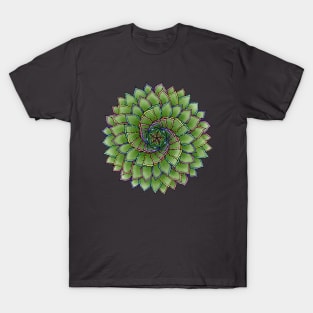 Aloe Polyphylla in Rainbow T-Shirt